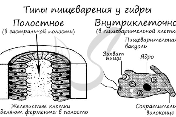 Восстановить доступ к кракену