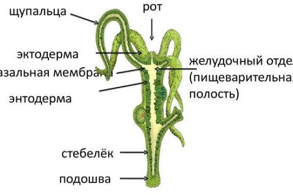 Kraken 12 at сайт