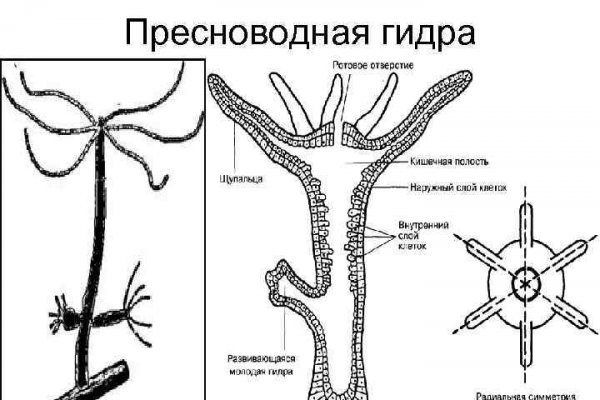 Кракен рабочее зеркало