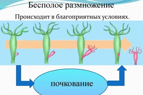 Кракен ссылка стор