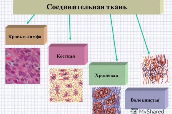 Кракен зеркало ссылка онлайн